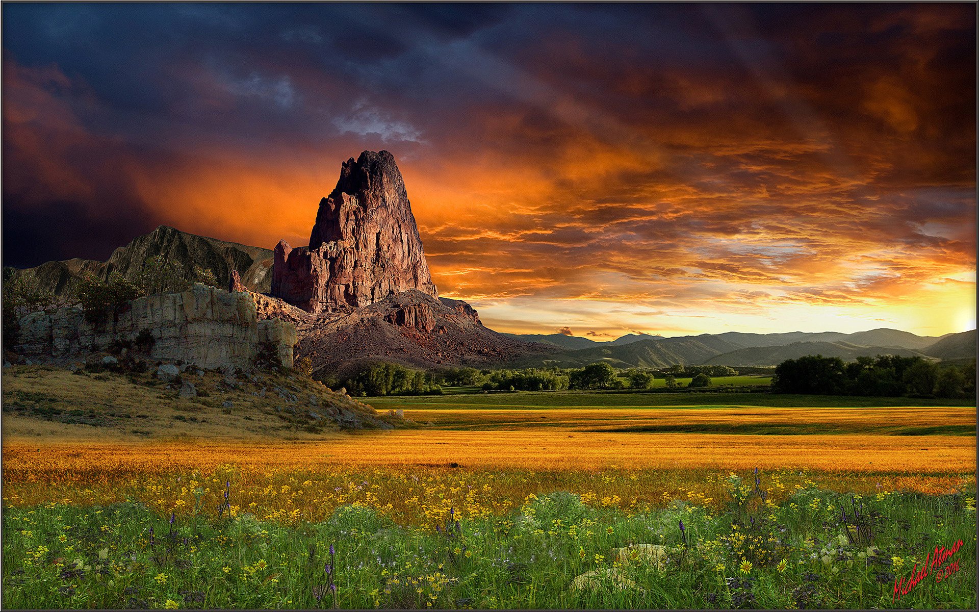 prateria natura tramonto montagna usa fiori selvatici