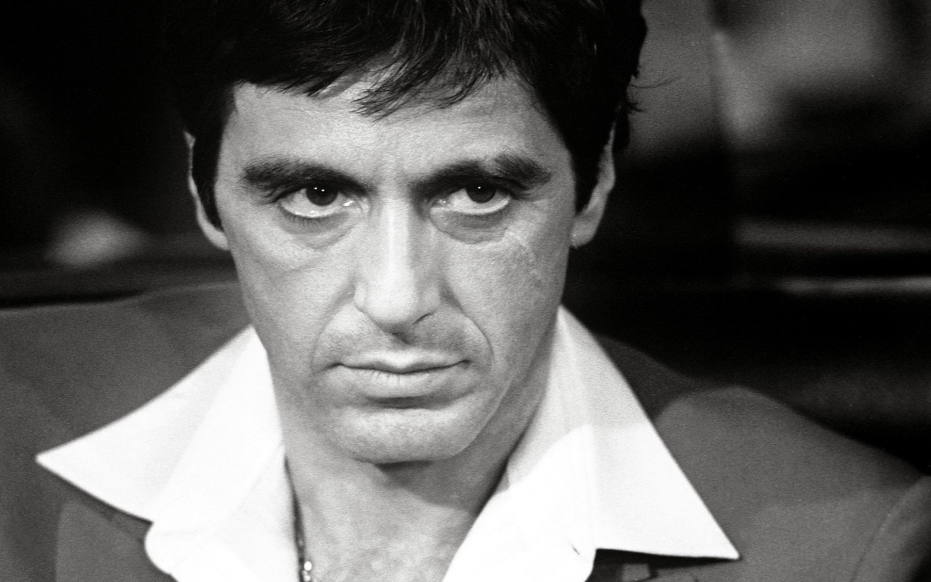 al pacino attore star del cinema regista scarface