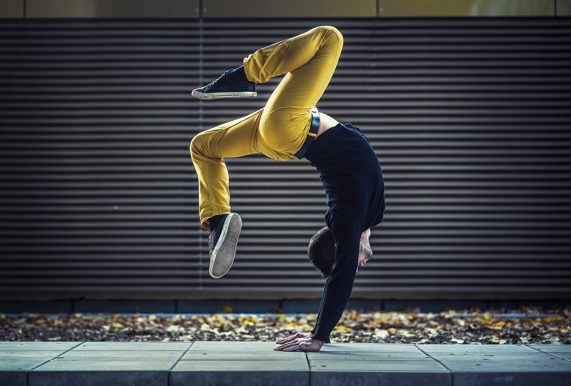 dimitri petrowski dance gymnast