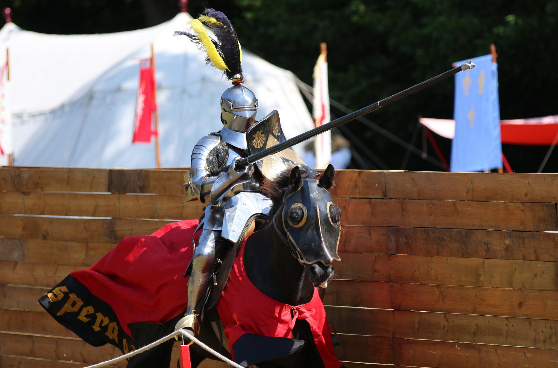 ritter krieger rüstung metall pferd pferd turnier