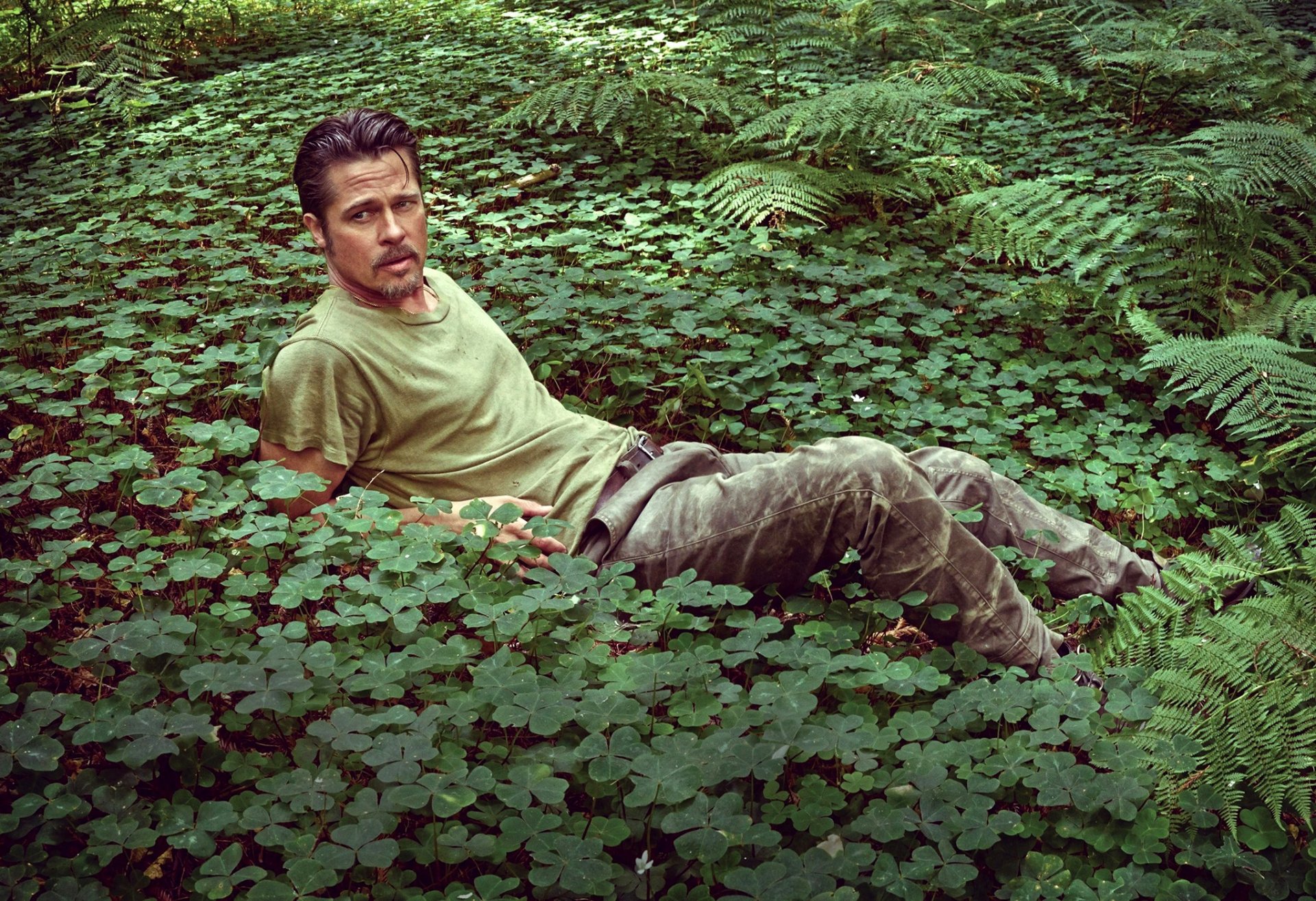 brad pitt actor men green leaves nature