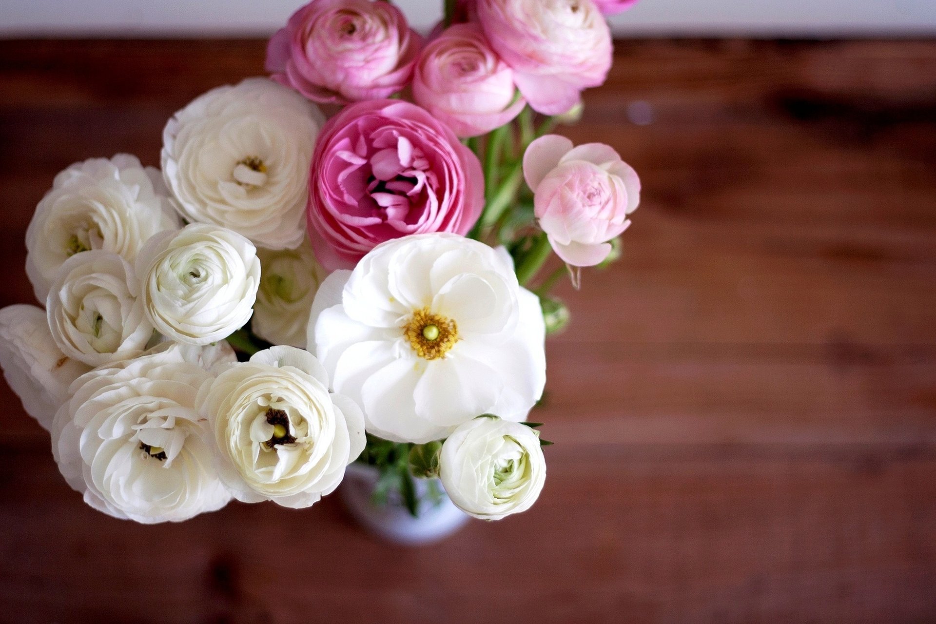 fiori ranunculus bianchi ranuncoli mazzo boccioli rosa