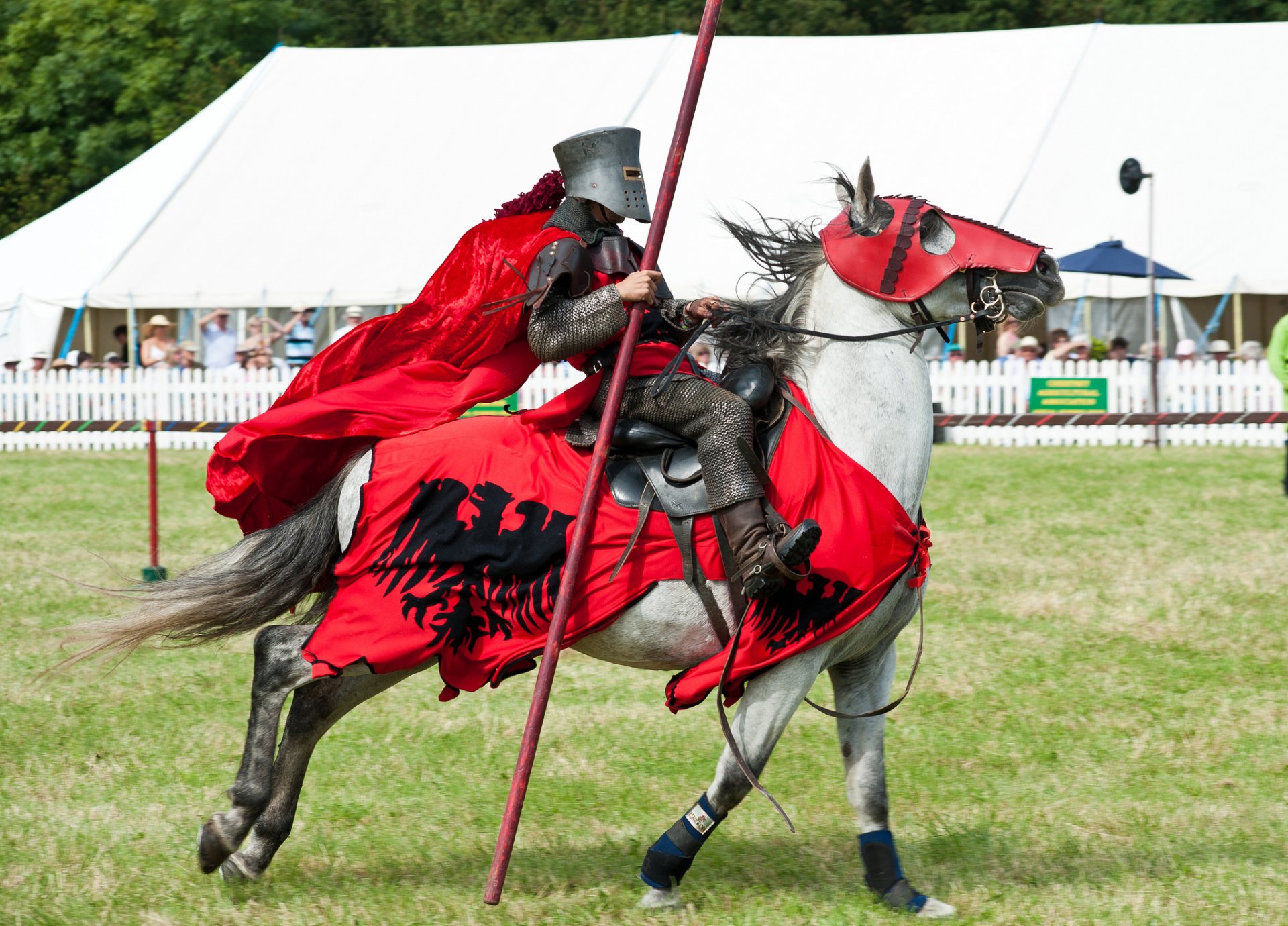 knight warrior armor metal horse horse