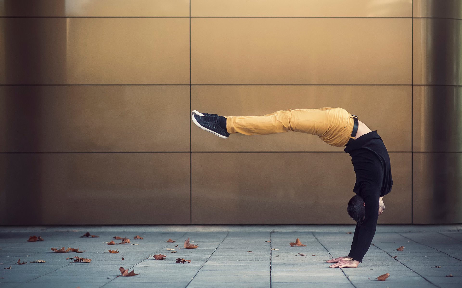 dimitri petrowski athlete gymnast