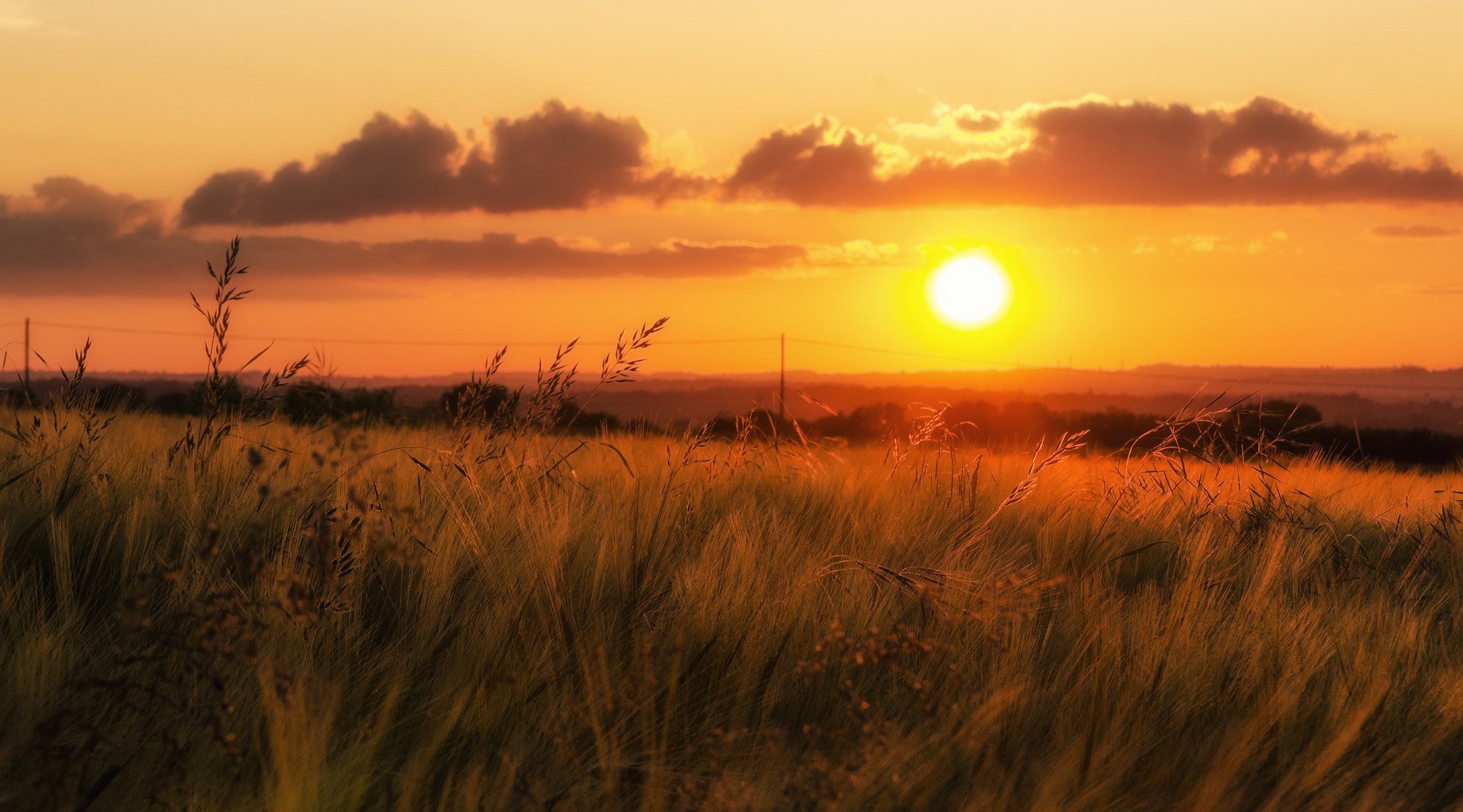 líneas eléctricas fotógrafo campo hierba valle horizonte puesta de sol nubes cielo naranja