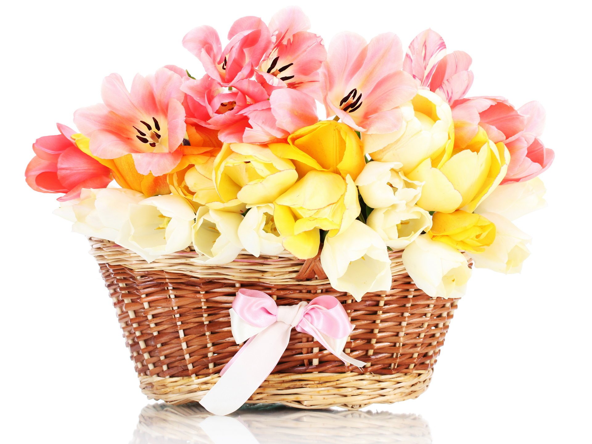 fleurs tulipes panier bouquet panier arc fleur