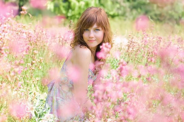 A girl in a field among pink flowers