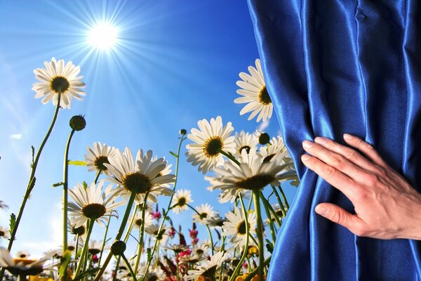 Giornata di sole con margherite fuori dalla finestra