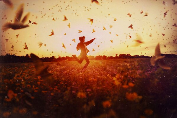 A guy, illuminated by the sun, runs across the field dispersing birds