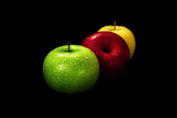 Nature morte de trois pommes multicolores sur fond noir