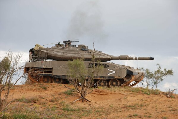 Izraelski czołg bojowy na bagnach