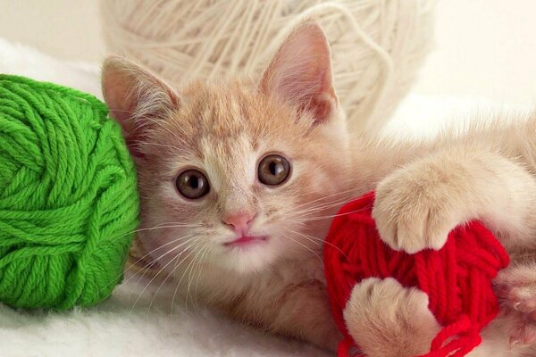 Gatito rojo con madejas de hilo