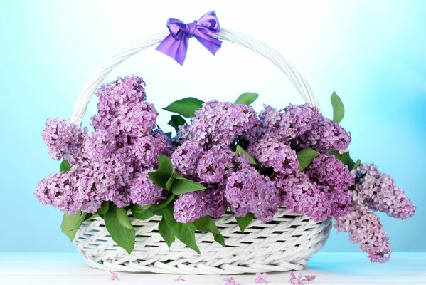 Bouquet de lilas dans un panier avec un arc violet