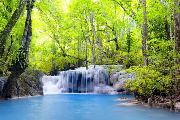 Cascades de rivière de montagne sur la nature dans la forêt dense