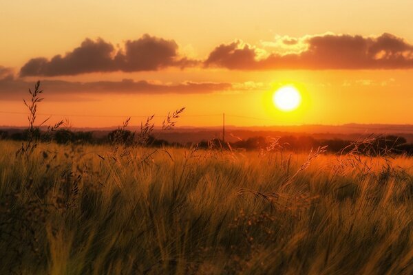 Orangefarbener Himmel bei Sonnenuntergang, Tal mit Gras