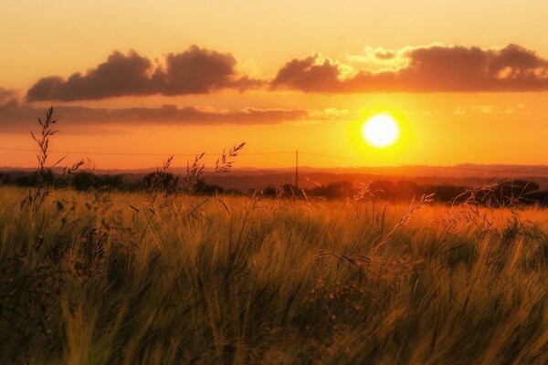 Cielo naranja durante la puesta del sol, valle con hierba