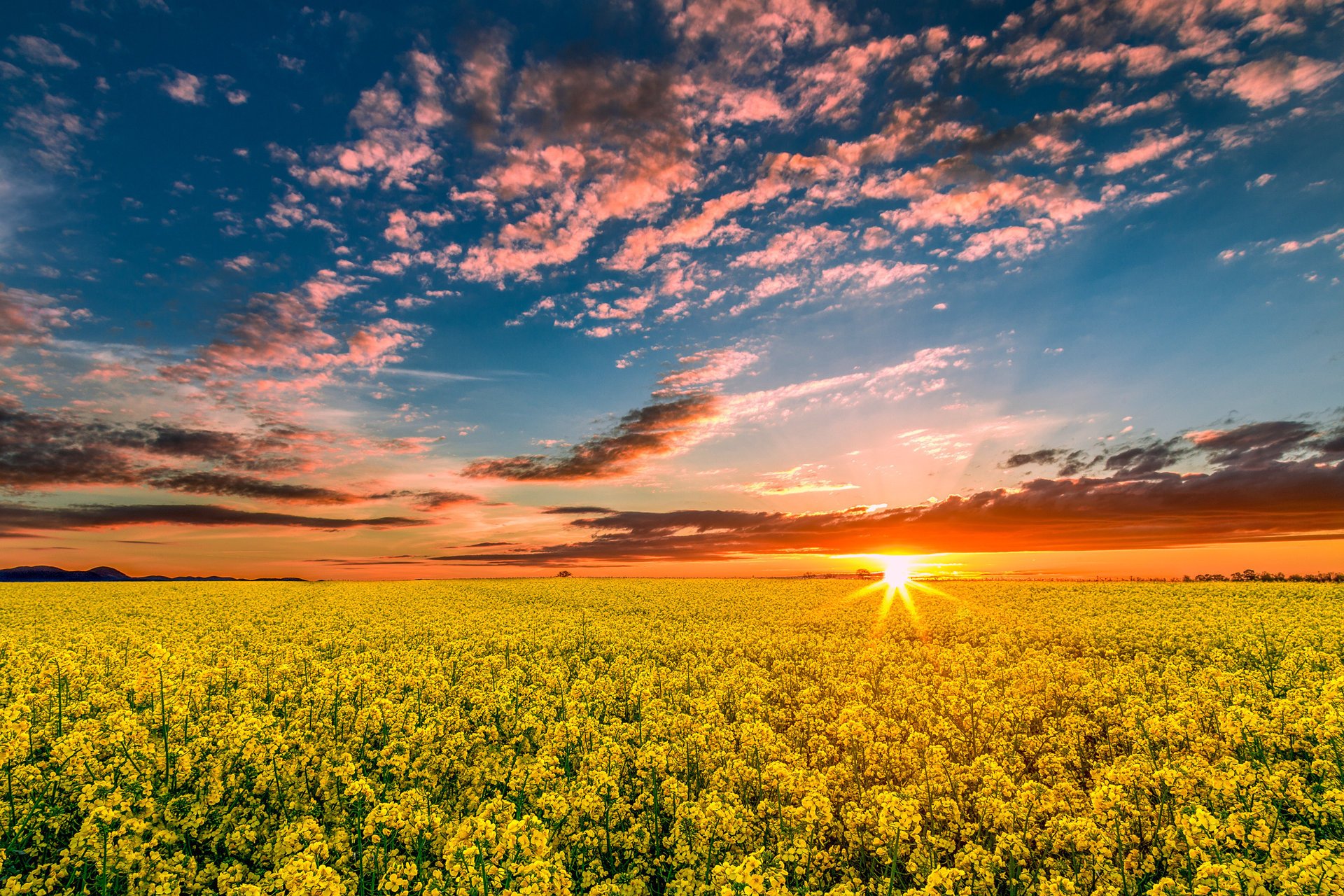 natura primavera campo colza tramonto sole raggi cielo nuvole