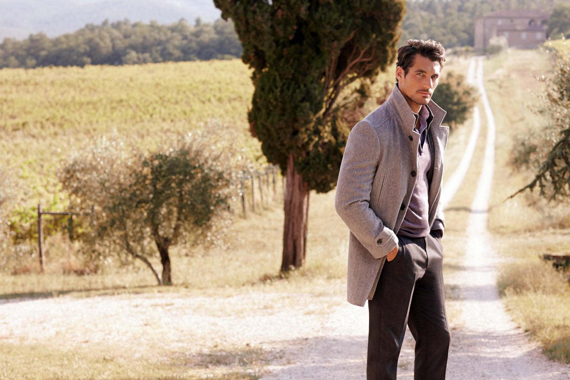 david gandy men model the field road tree nature