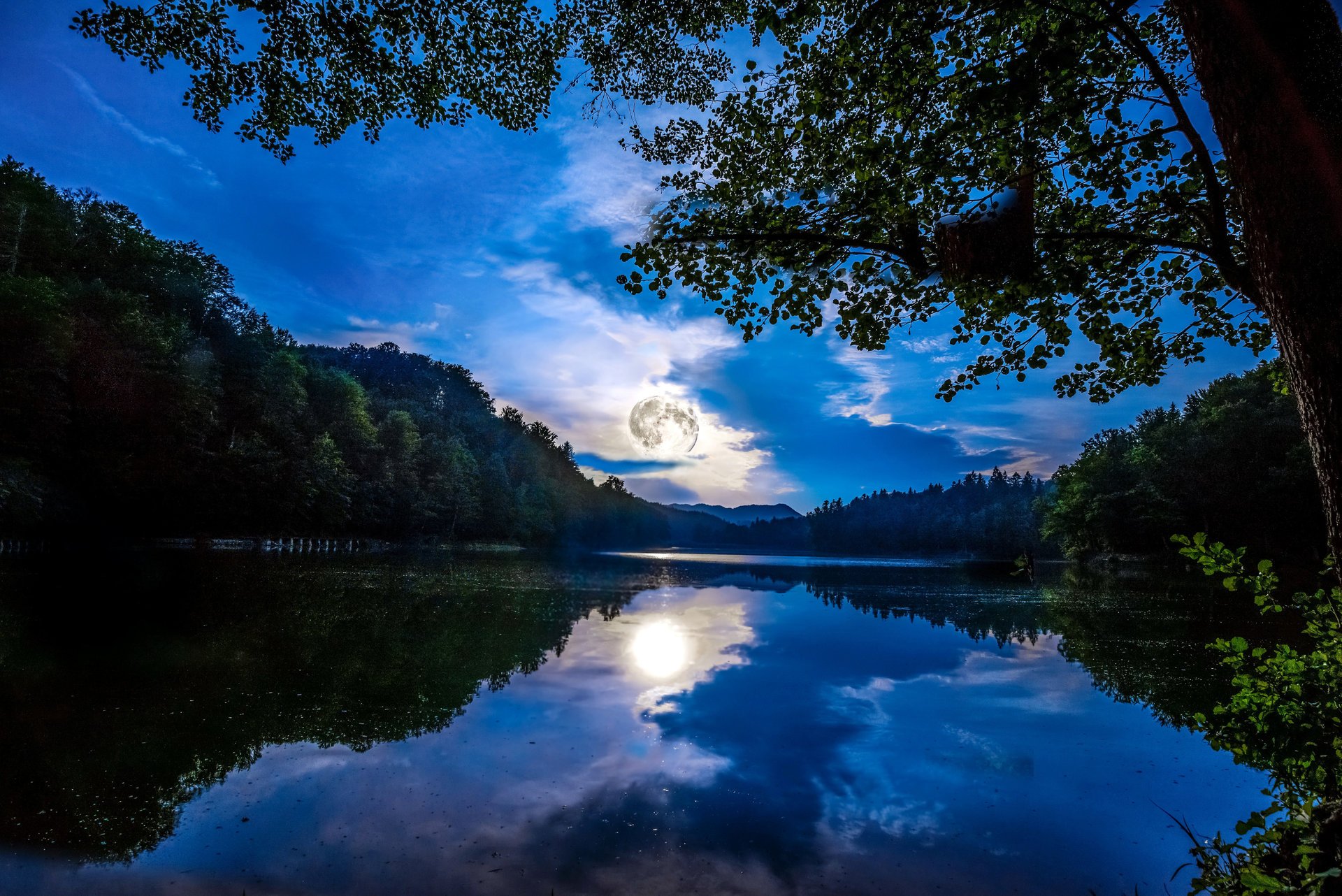 mainz alemania bosque río árboles noche cielo luna nubes luz reflexión