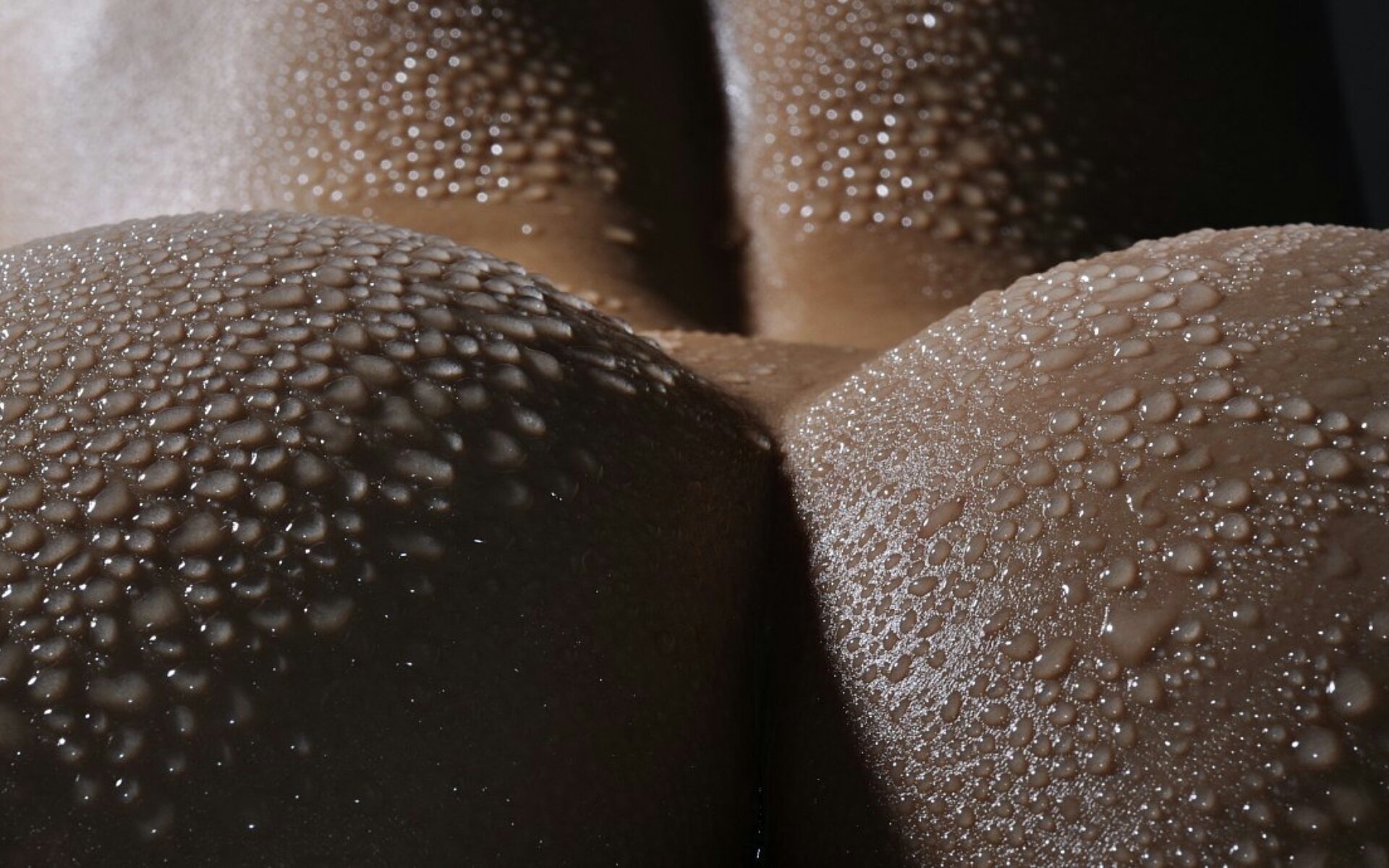 ass drops curves the female body back macro