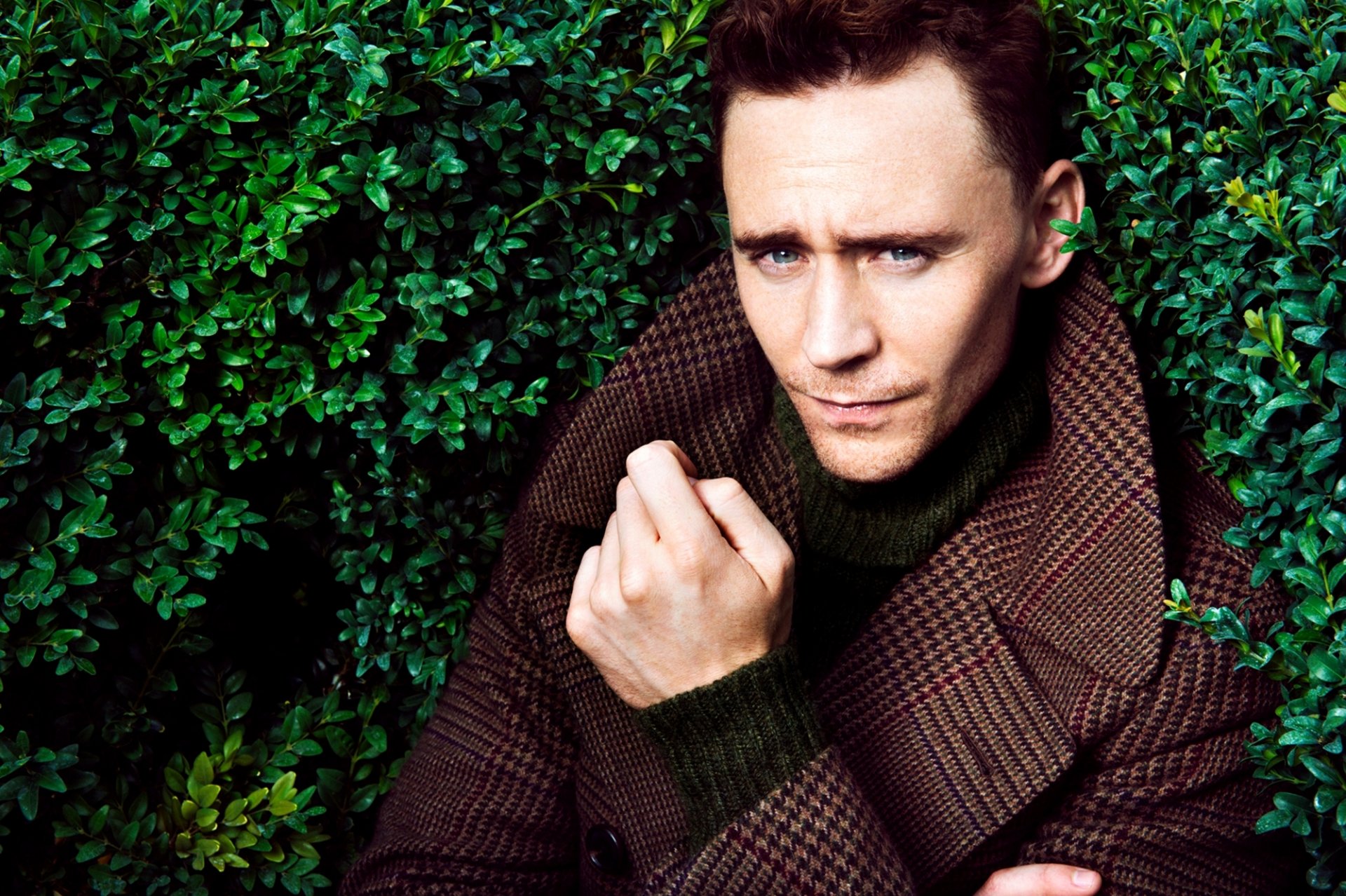 hiddleston tom hiddleston man actor coat bushes greenery