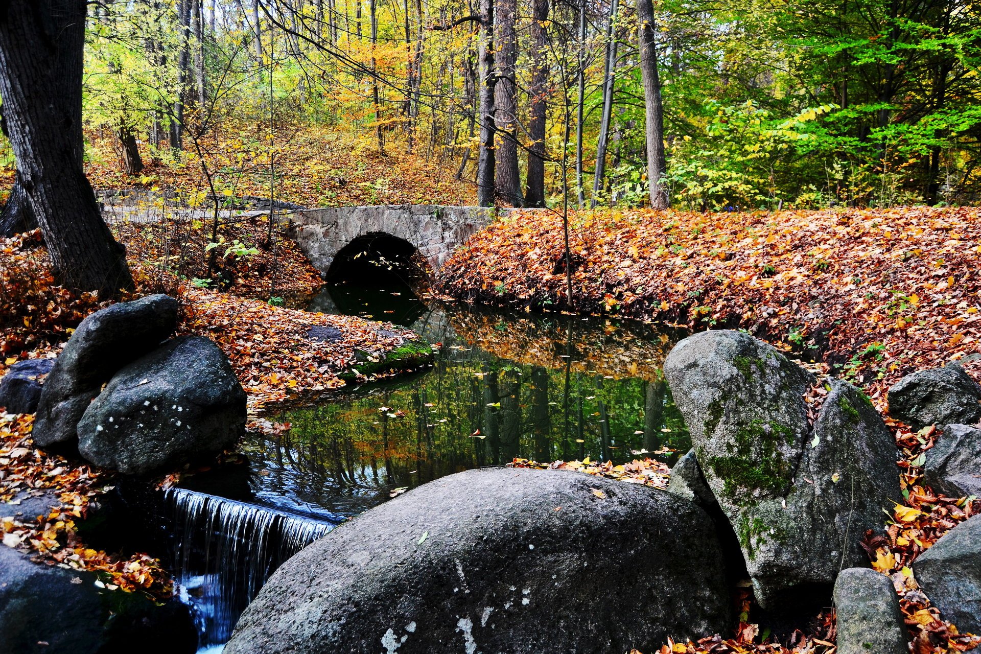 ukraine uman national dendrological sofiyivka park autumn