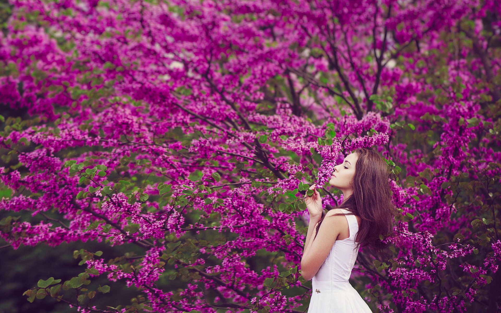 pring beautiful flowering girl