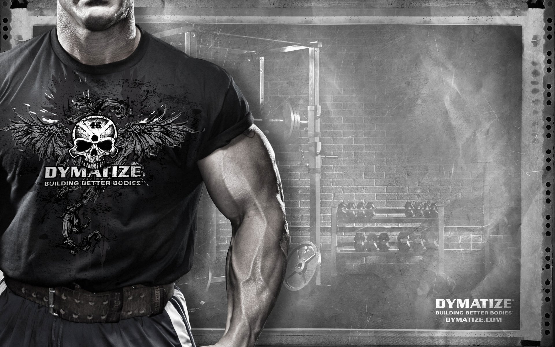 andy haman dymatize sportpit muscles sport