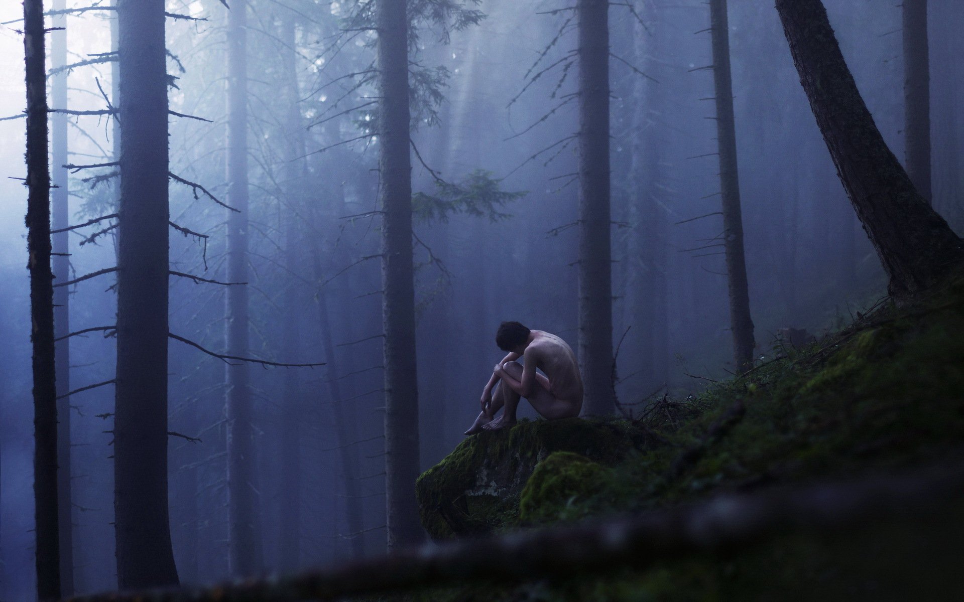 garçon forêt brouillard