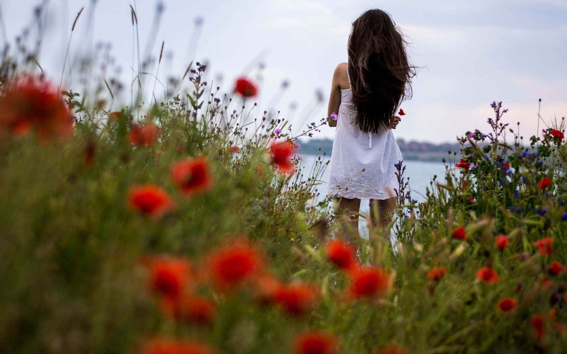 fleurs fille cheveux longs brunette