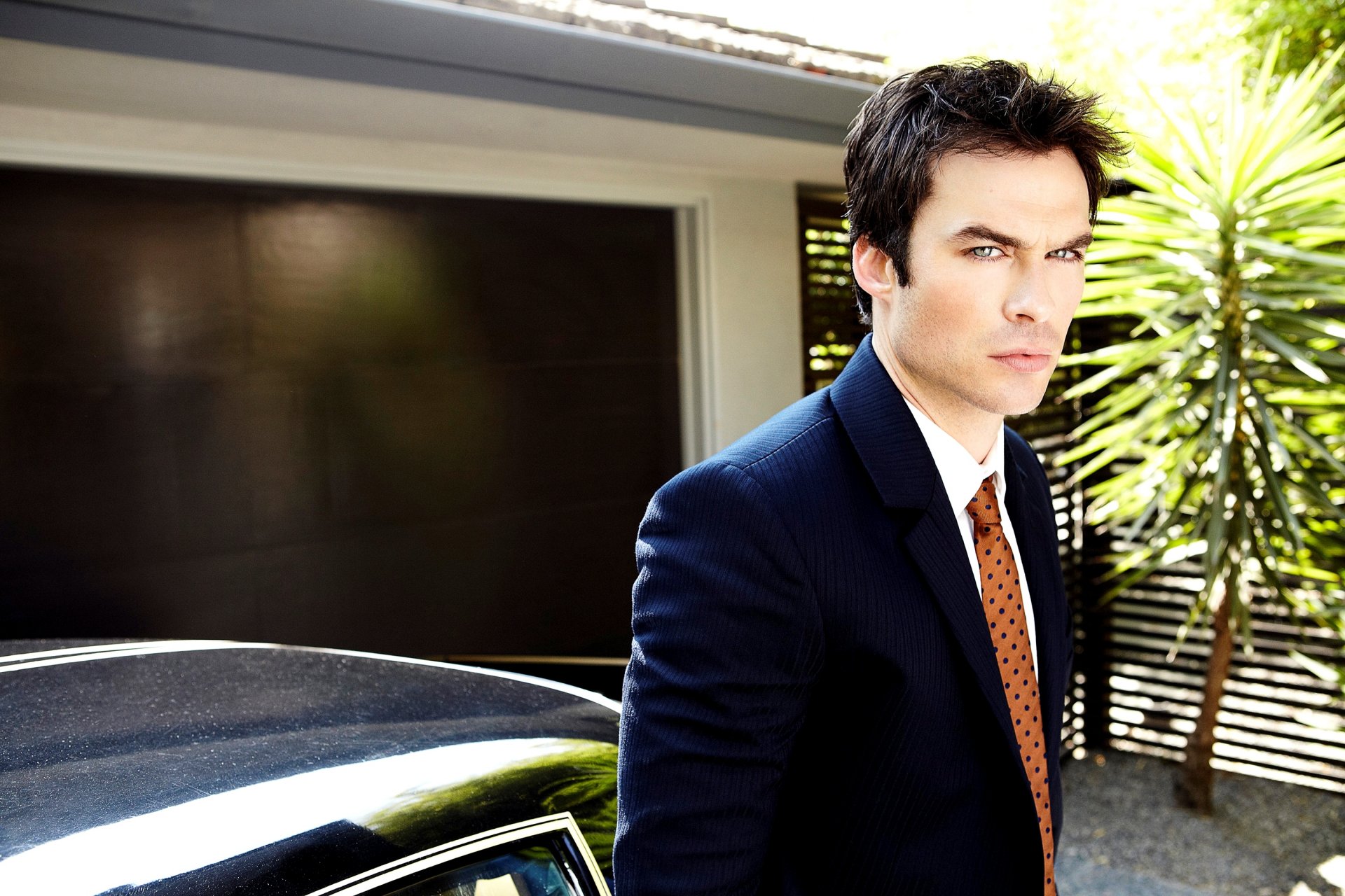 ian somerhalder ian somerhalder attore brunet uomo faccia sguardo costume macchina