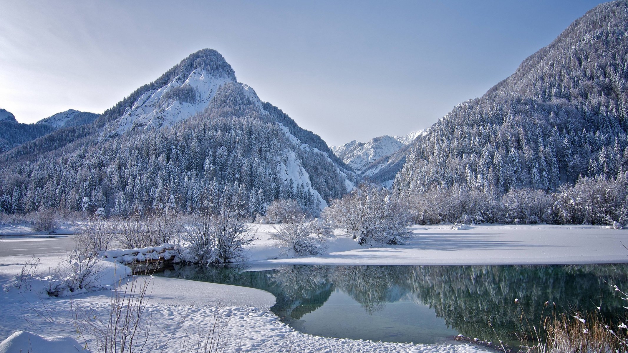 invierno río de montaña nieve árboles