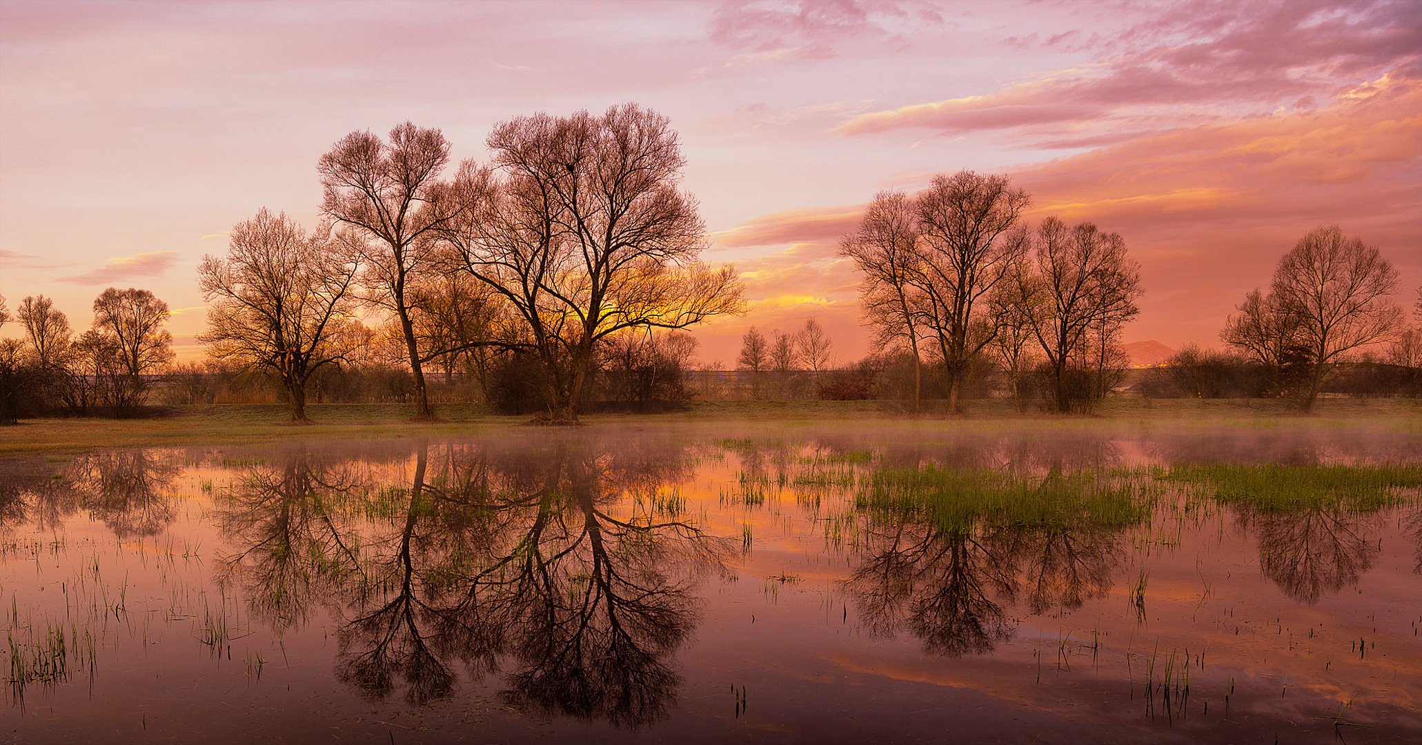 natura primavera mattina alba prato acqua cielo nuvole