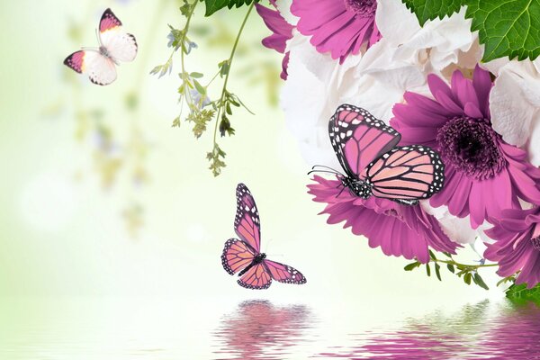 Butterflies over the water and gerbera flowers