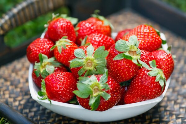 Fresas dulces de verano de la cama