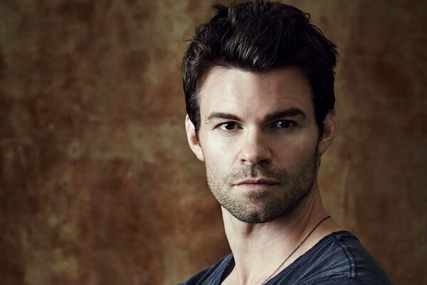 A guy in a gray T-shirt on a brown background