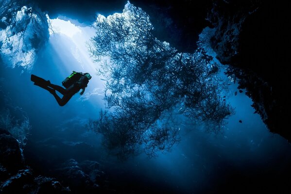 La bellissima isola di Menjangan in Indonesia è famosa per le immersioni