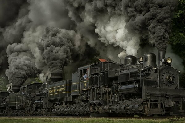 Eine Dampflokomotive in der Ökologie der Welt