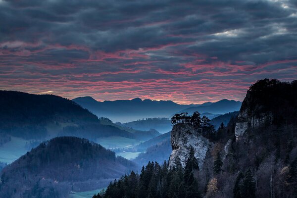 Evening sunset valley view of the forest