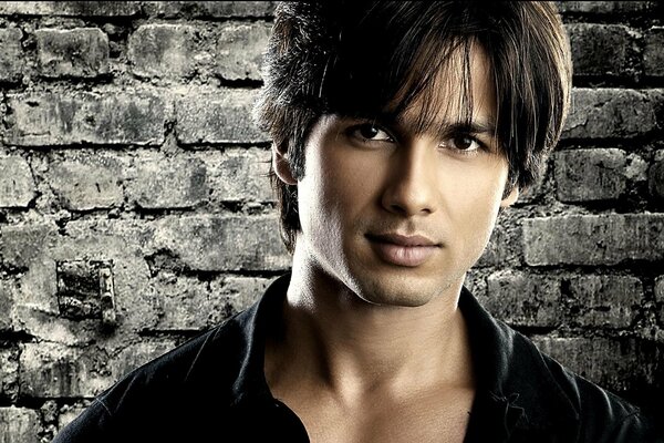 Shahid Kapoor is a handsome actor