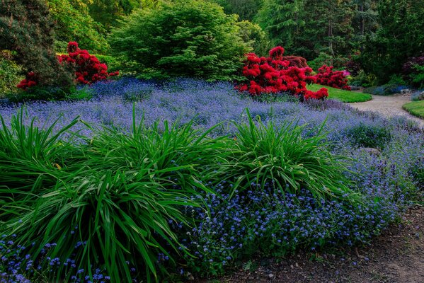 Seattle a un parc avec le plus beau jardin