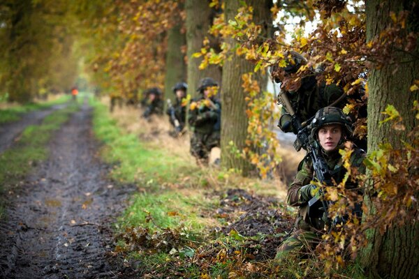 There is an armed man hiding behind every tree in this forest