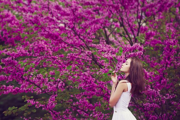 Chica en hermosas flores de primavera