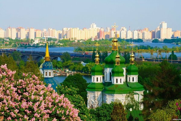 Beautiful lilac blooming on the banks of the Dnieper