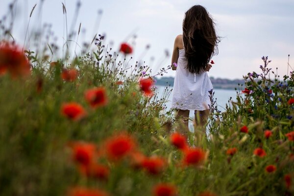 Fille brune près de coquelicots rouges