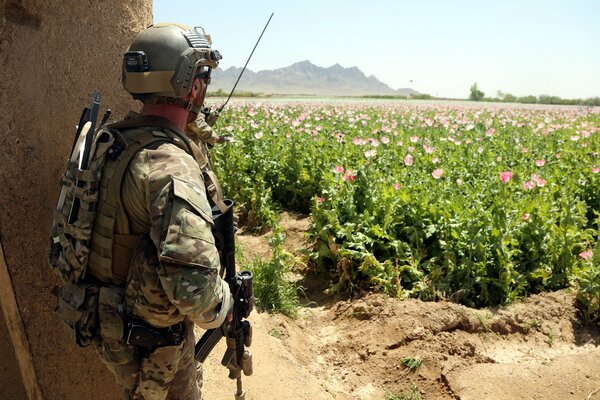 Solda avec des armes en regardant le champ de fleurs