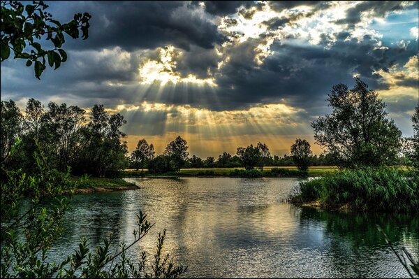 Lake in the rays of the summer sun