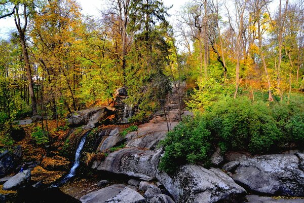 Herbstbäume. Der Bach geht über die Felsen hinunter