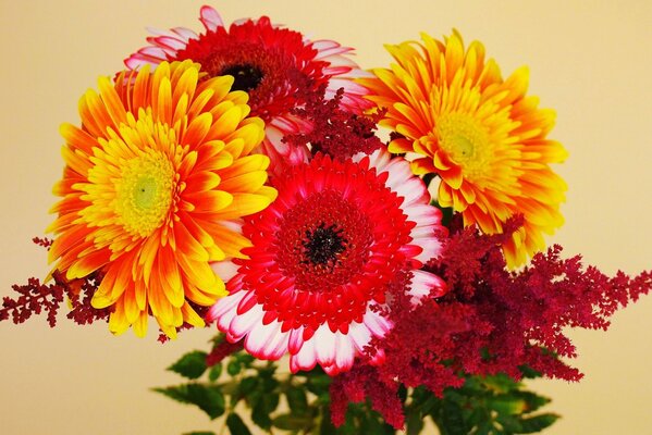 A beautiful bouquet of bright gerberas