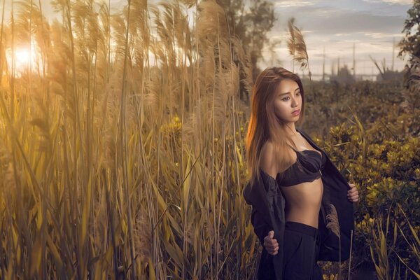 Beautiful girl in a thicket of reeds